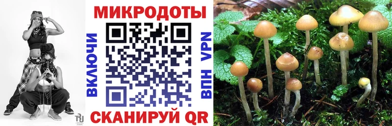 Псилоцибиновые грибы Cubensis  наркота  Новошахтинск 